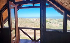 Los olivillos